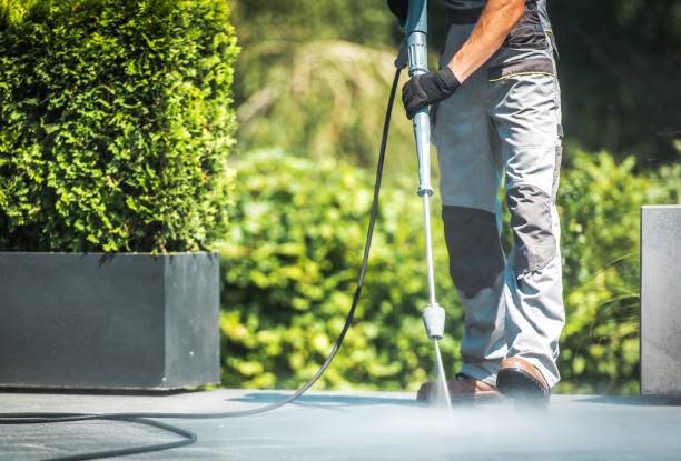 Best Driveway Pressure Washing  in Upland, IN