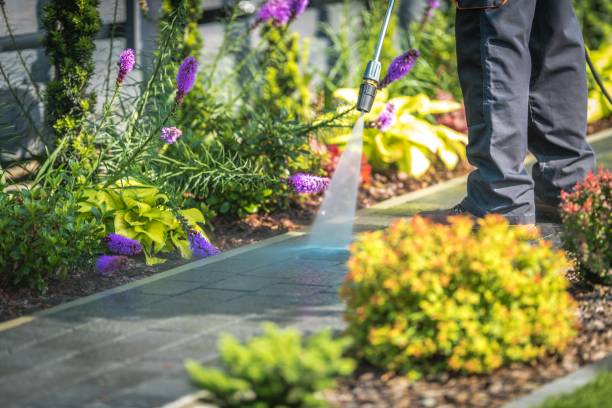 Best Fence Cleaning  in Upland, IN