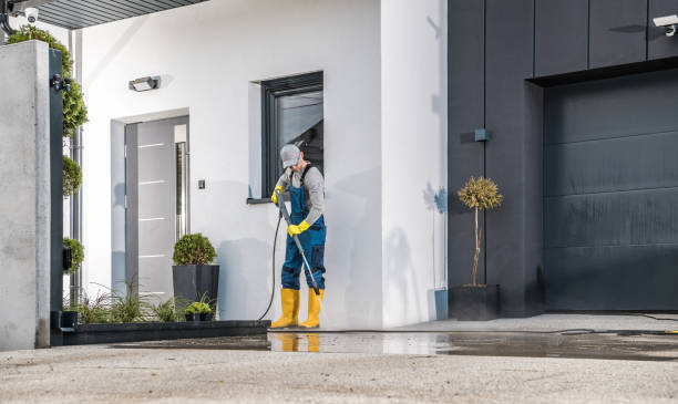 Best Pre-Holiday Cleaning  in Upland, IN